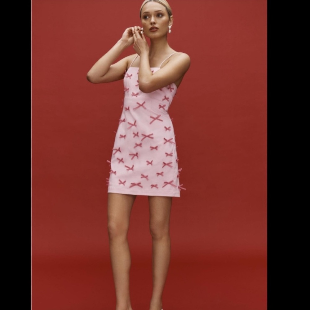 Anthropologie exclusive NWT exclusive Sz 4 or Sz 8 adorable 3D bow lined dress - Picture 8 of 16